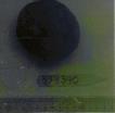 Click for 1 image(s) for this accession. FRUIT